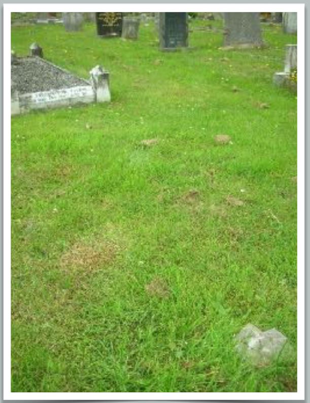 Private William Uriah Newcombe (32327)