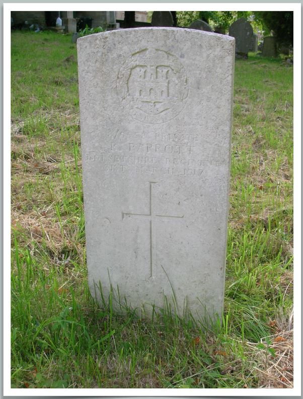 Private Bert Parrott (8/9558)