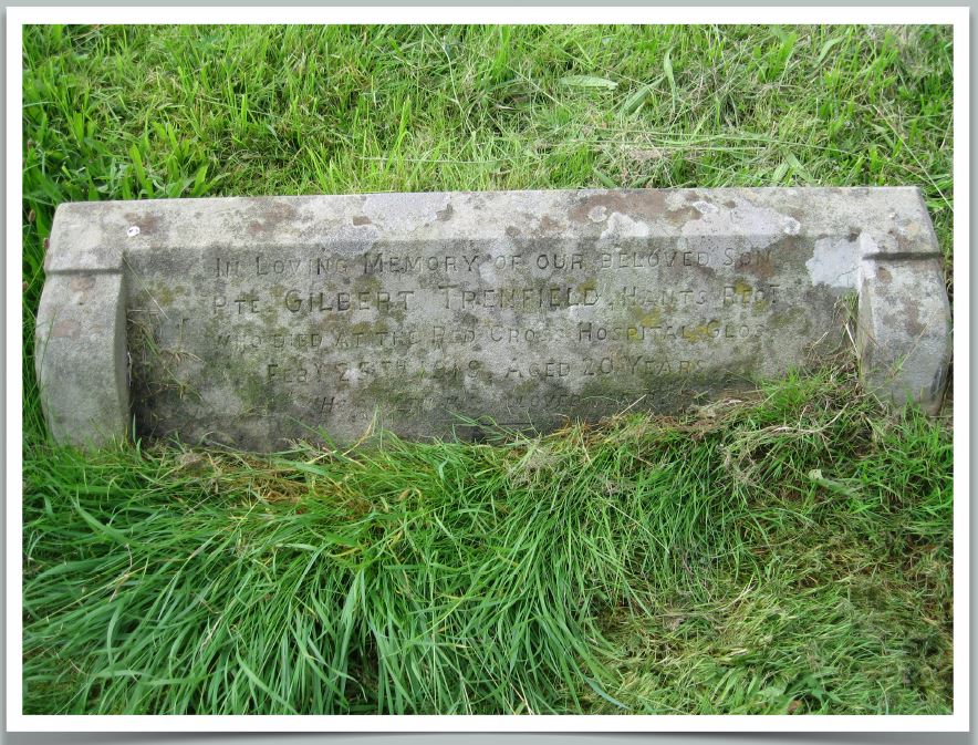 Private George Gilbert Trenfield (38044)